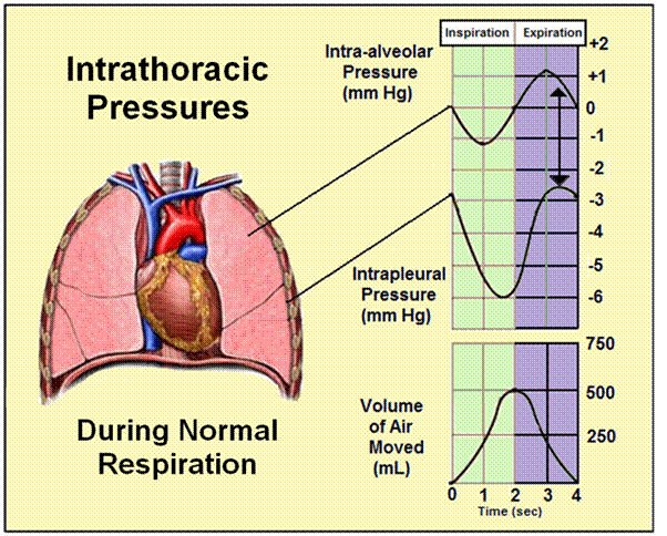 breath5 breath5