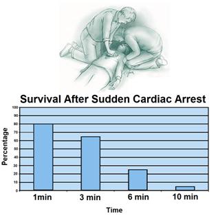 Figure 2: Probability of survival as a function of time following cardiac arrest. [8]